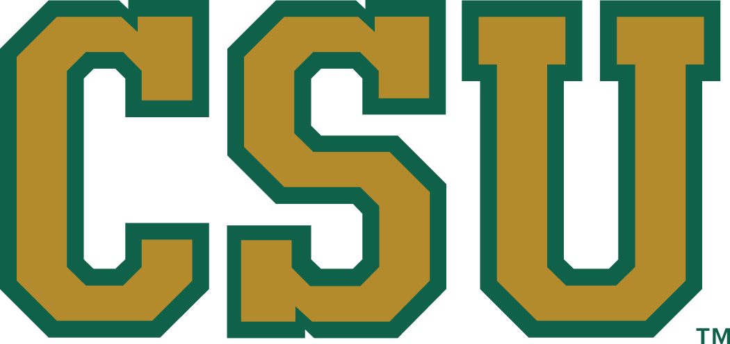 Colorado State Rams 1993-2014 Secondary Logo v2 diy iron on heat transfer...